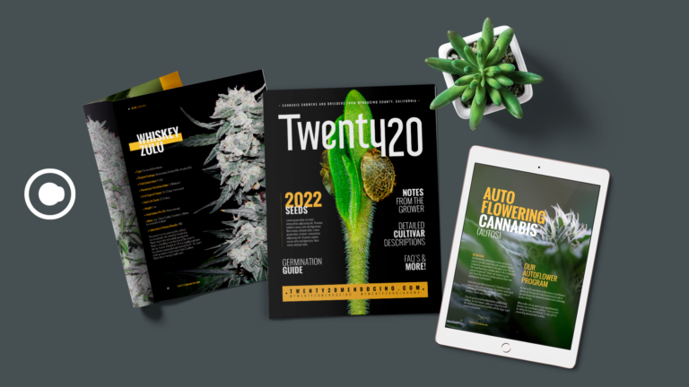 top-graphic-design-subscription-service-in-santa-clara-big-0