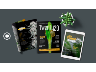 top-graphic-design-subscription-service-in-santa-clara-small-0