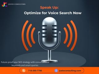 professional-voice-search-optimization-small-0