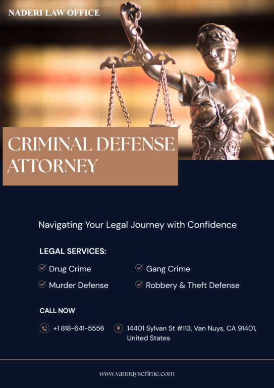the-role-of-a-criminal-defense-attorney-in-felony-cases-big-0