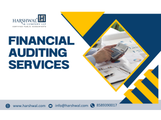 financial-auditing-service-for-small-and-businesses-small-0