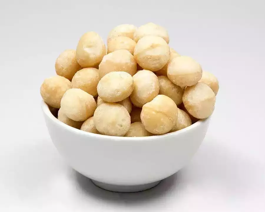 jumbo-macadamias-the-ultimate-luxury-snack
