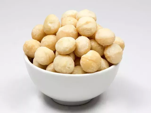 jumbo-macadamias-the-ultimate-luxury-snack