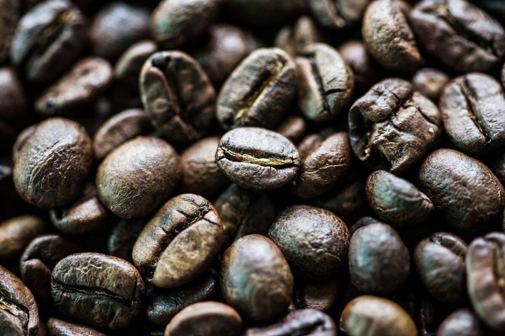 roasted-black-ivory-coffee-online-experience-rarity-and-luxury-big-0