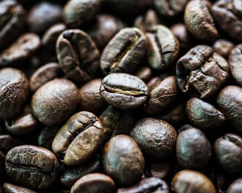 roasted-black-ivory-coffee-online-experience-rarity-and-luxury