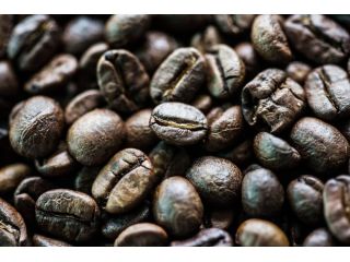 roasted-black-ivory-coffee-online-experience-rarity-and-luxury-small-0
