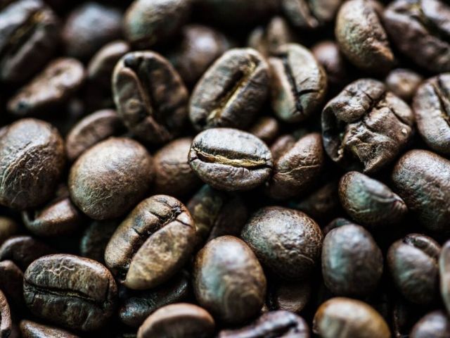 roasted-black-ivory-coffee-online-experience-rarity-and-luxury
