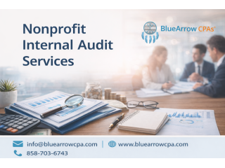 advanced-nonprofit-internal-audit-services-for-financial-accuracy-small-0