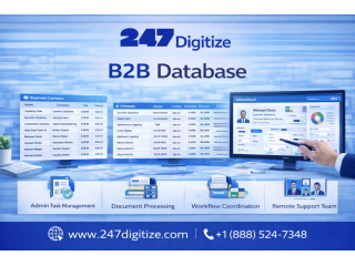 b2b-database-services-for-organized-business-information-small-0