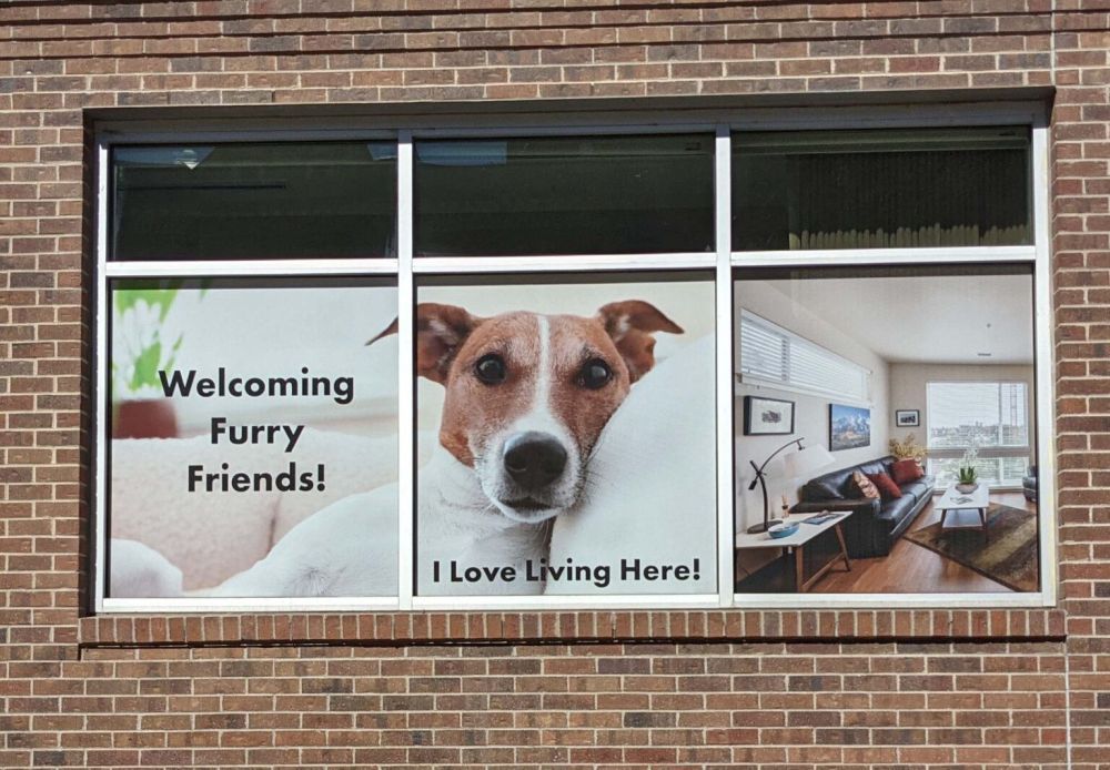 premium-vinyl-signs-in-denver-big-0