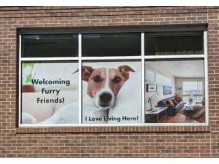premium-vinyl-signs-in-denver-small-0