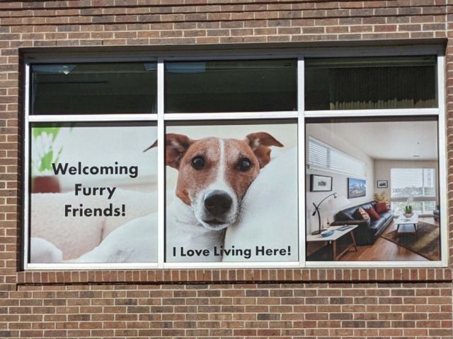 premium-vinyl-signs-in-denver