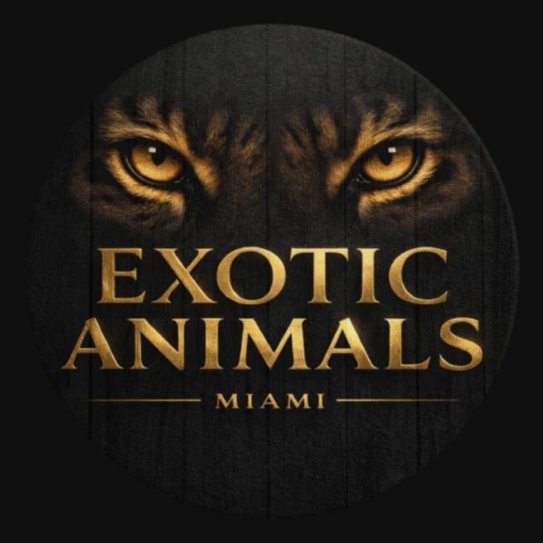 exotic-animals-miami-big-0