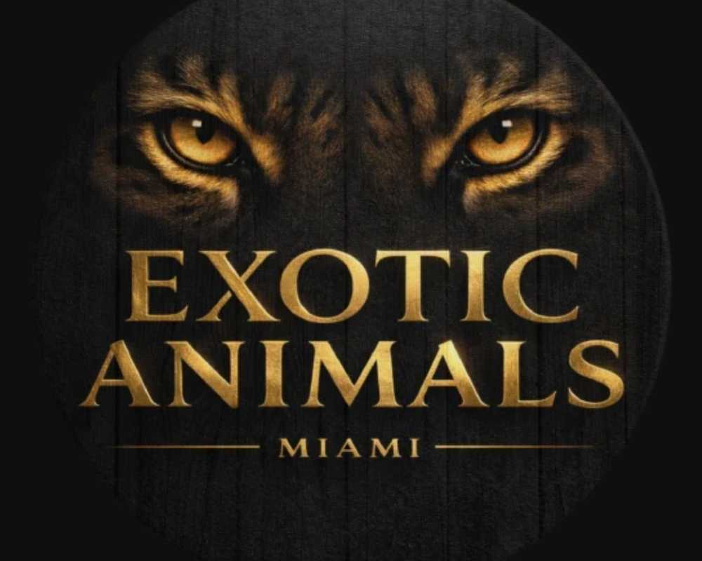 exotic-animals-miami