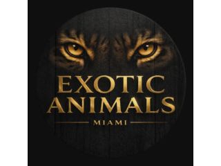 exotic-animals-miami-small-0