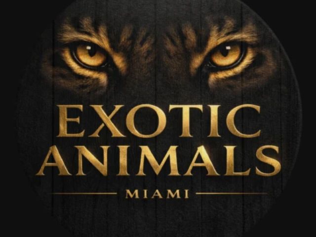 exotic-animals-miami