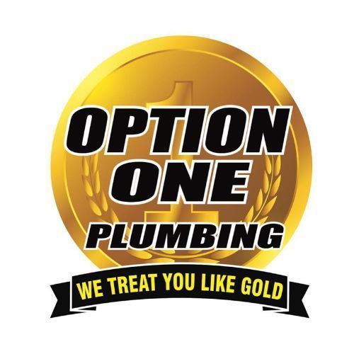 option-one-plumbing-of-the-carolinas-big-0