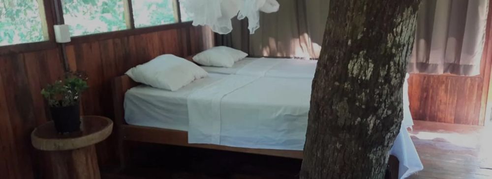 explore-manu-national-park-lodges-in-peru-big-0