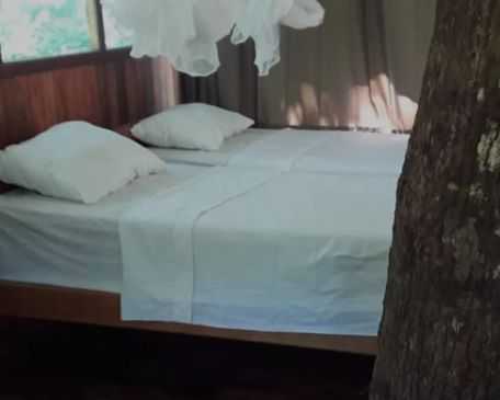 explore-manu-national-park-lodges-in-peru