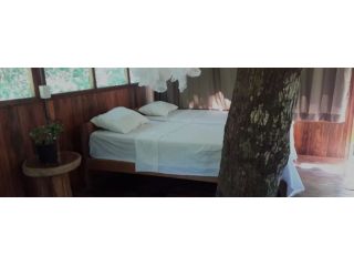 explore-manu-national-park-lodges-in-peru-small-0