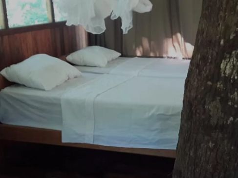 explore-manu-national-park-lodges-in-peru