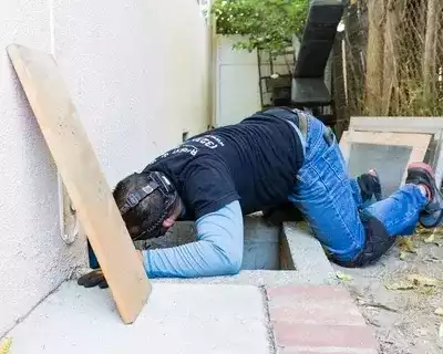 professional-exterminator-services-in-glen-rose