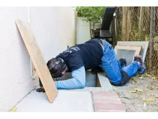 professional-exterminator-services-in-glen-rose-small-0