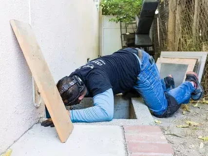 professional-exterminator-services-in-glen-rose