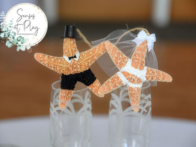 looking-for-a-professional-wedding-photography-contract-guide