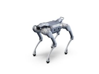 buy-a2-robot-from-toborlife-ai-smart-investment-in-robotics-small-0