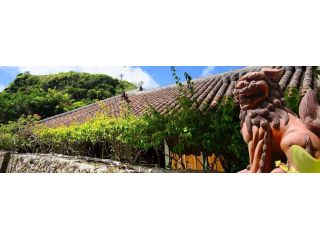 best-honolulu-to-okinawa-travel-packages-n-k-travel-service-small-0
