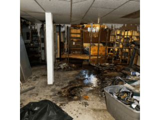 reliable-fire-restoration-michigan-solutions-small-0