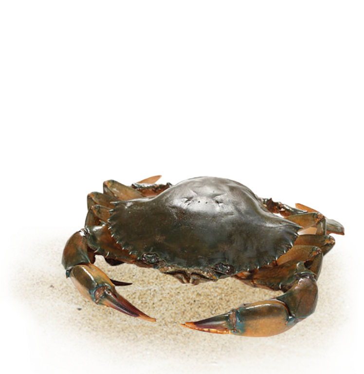 crab-fattening-box-big-0
