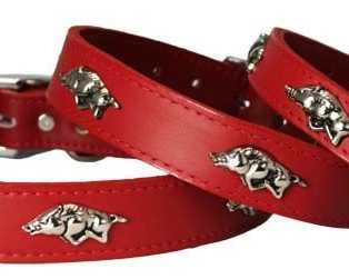 premium-leather-razorback-dog-collar-strong-design