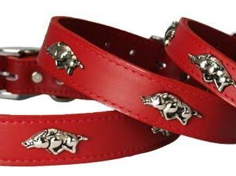 premium-leather-razorback-dog-collar-strong-design