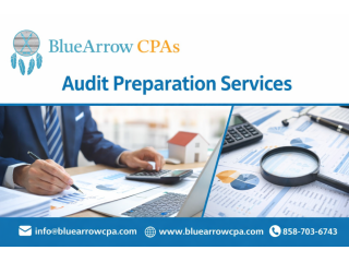 best-audit-preparation-services-to-simplify-your-audit-small-0