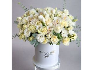 fresh-white-roses-online-with-fast-shipping-usa-small-0