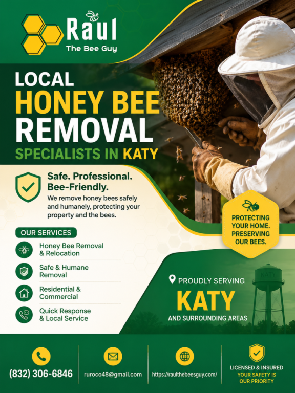 local-honey-bee-removal-specialists-in-katy-big-0
