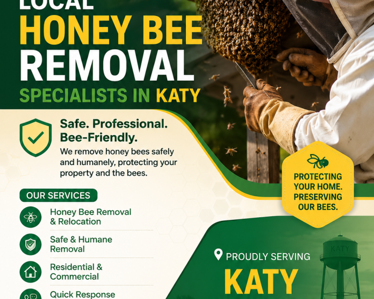 local-honey-bee-removal-specialists-in-katy