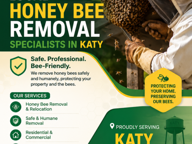 local-honey-bee-removal-specialists-in-katy