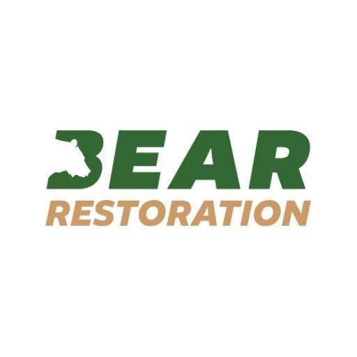 bear-restoration-big-0