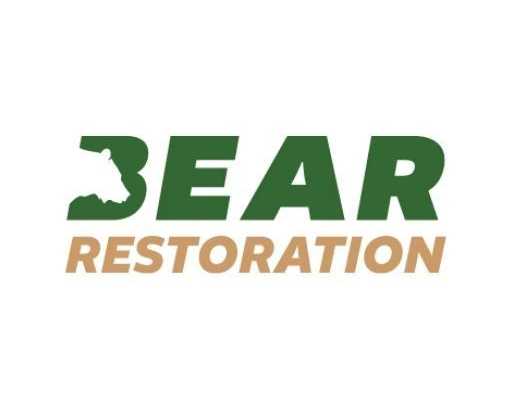 bear-restoration