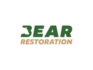 bear-restoration-small-0