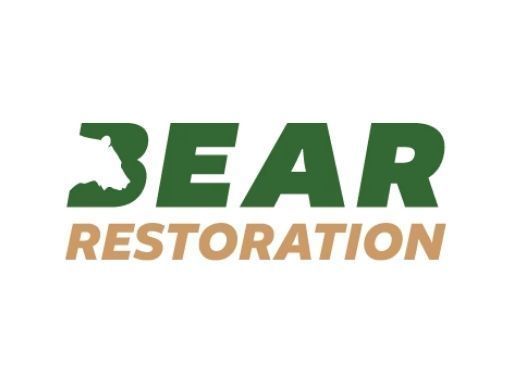 bear-restoration