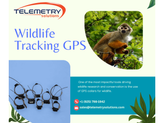 advanced-wildlife-tracking-gps-solutions-for-research-small-0