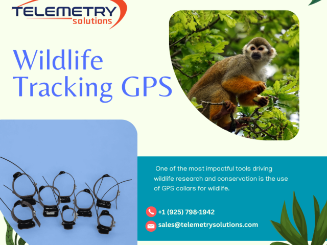advanced-wildlife-tracking-gps-solutions-for-research