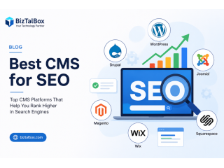 best-cms-for-seo-choose-the-right-platform-for-higher-rankings-small-0