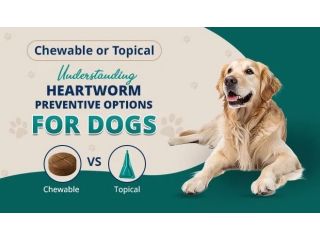 heartworm-prevention-for-dogs-chewable-vs-topical-treatments-small-0