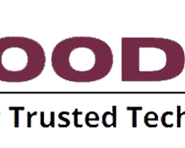 goodpick-technology-it-digital-solutions