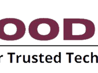 goodpick-technology-it-digital-solutions
